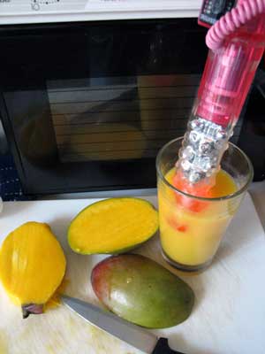 Jack rabbit hand blender