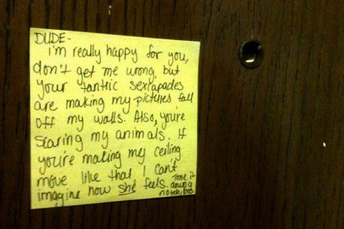 notes from neighbours about noisy sex