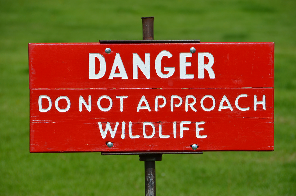 The Do's and Do NOT's - Running Into a Fetlifer in the Real World